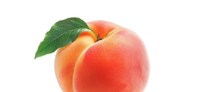 Footer Bootybuilder Fitnessclubnederland